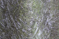 Toft Hill fibreglass roof work